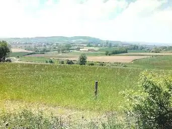Photo de Baneberg