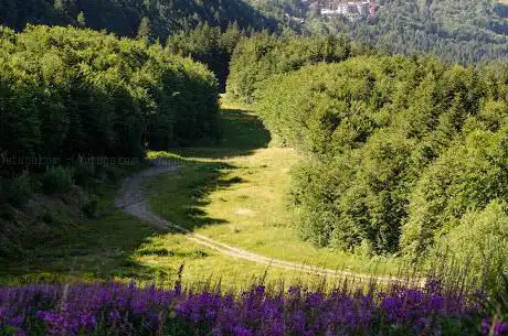 Muro Riva