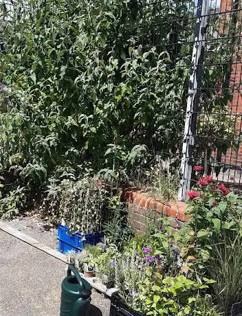 Eastleigh Community Garden