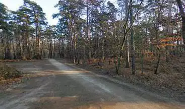 Forêt de Fontainebleau rocher canon