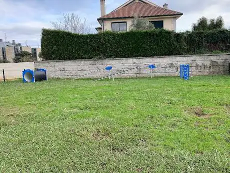 Area canina  Nigrán