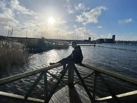 The Jetty