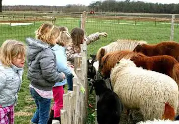 KinderBoerderij 't Platteland - Speeltuin
