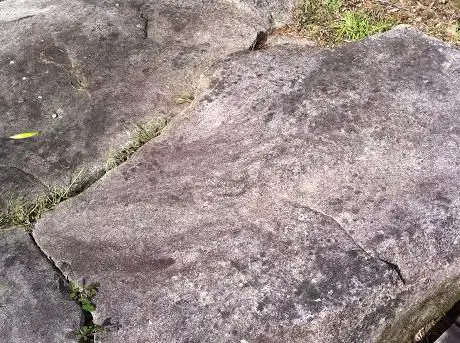 Pegroglifos da Caeira