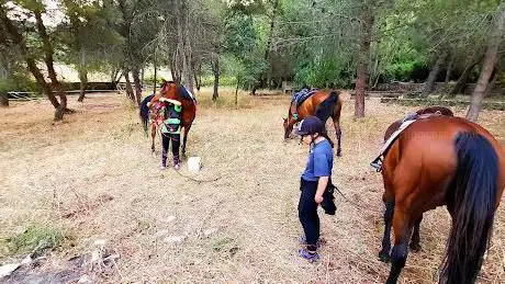Photo de River Ranch asd