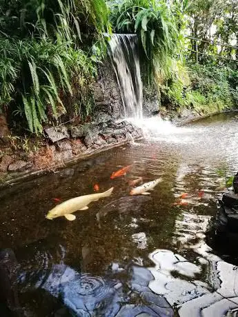 Roath Park Conservatory