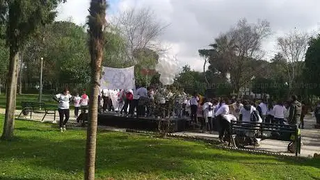 Municipal de la calle Carmona Park