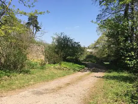 Delamore Park