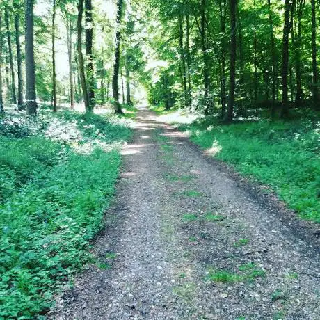 Photo de Forêt du Parc de Saint-Quentin