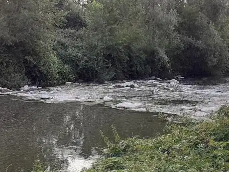 Photo de Parco del Borgo Nuovo
