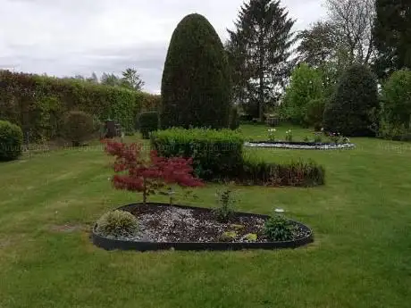 Pierre pousse et jardin