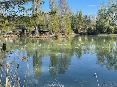 Photo de Laghetto Comunale Scardovi