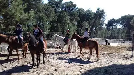 Photo de Escuela de Equitación de Frumales