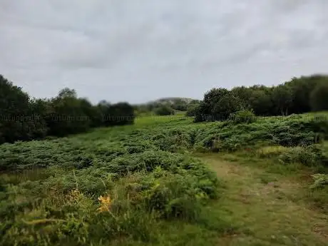Photo de Beeston & Sheringham Commons