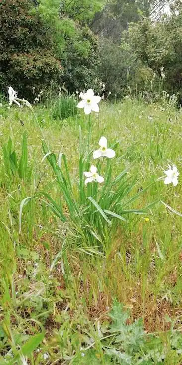Photo de Parc de la Ravelle