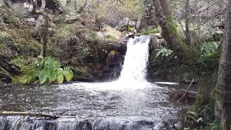 Photo de Cascada del Zaramato / Senda La Regueirina