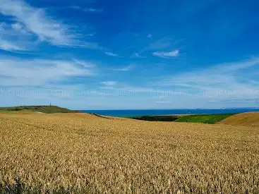 Photo de Sentier cap blanc nez
