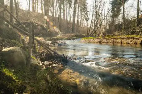 Naturlehrgebiet Buchwald