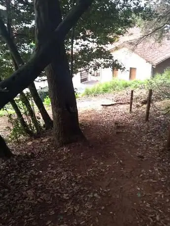 Photo de Bosque Peñas Blancas (La Castañera)