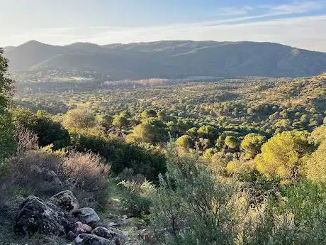 Photo de El Lugar Nuevo