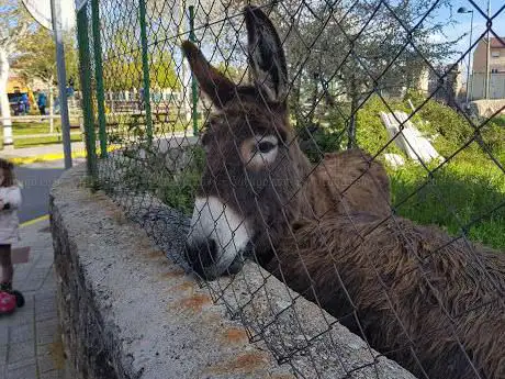 Photo de Cebada Park