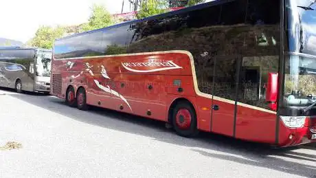 Voyages Lepesteur