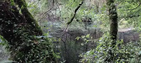 Presa das Xielas