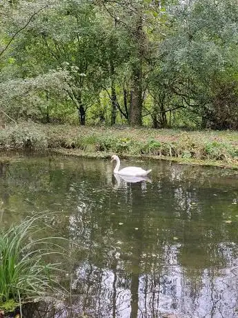 Fishlake Meadows Nature Reserve