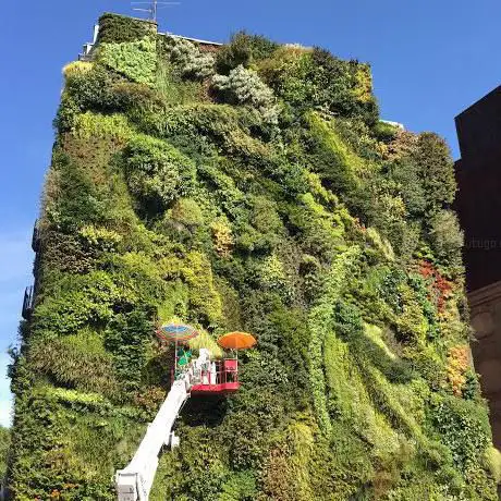 Photo de JardÃn Vertical Caixaforum