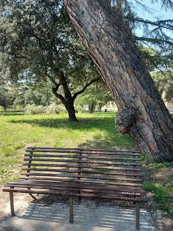 Parco Pubblico Falcone e Borsellino