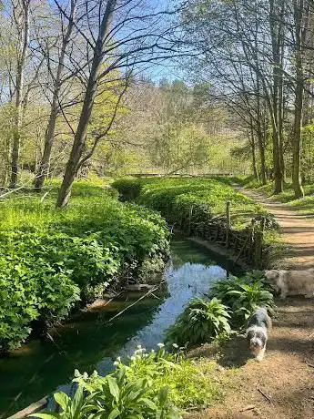 Photo de Pegswood Community Woods
