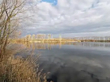Vogelbeobachtungsstand Mechtersheim
