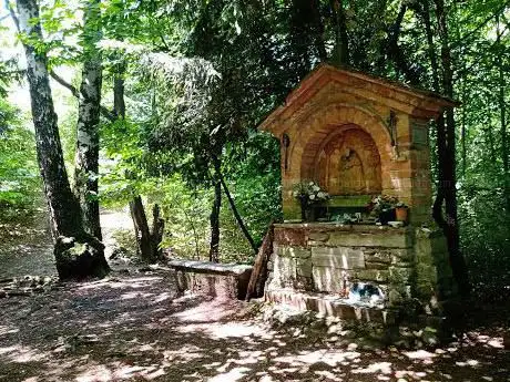Photo de Bosco San Francesco