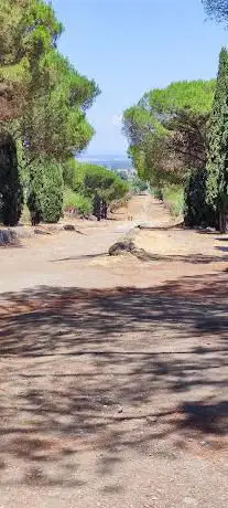 Vi Appia Antica ( Frattocchie)