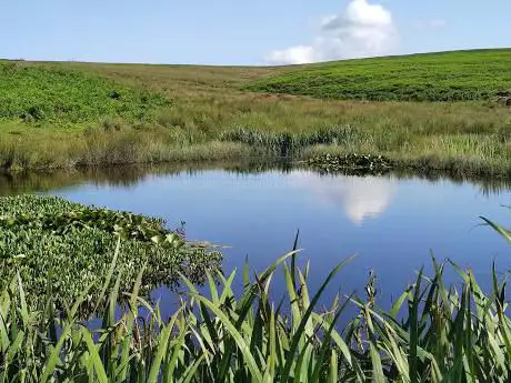 Photo de Wildmoor Pool
