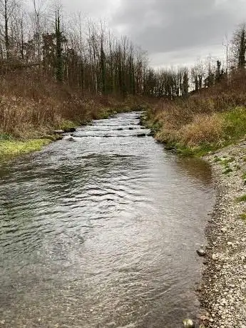 Aare Auen