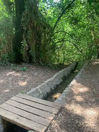 Photo de La Torre Turull
