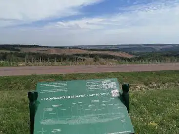 PAYSAGES DE CHAMPAGNE POINT DE VUE REMARQUABLE LES RICEYS