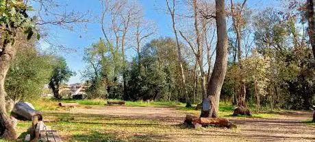 Photo de Bosco di Palo Laziale