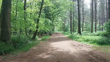 Arboretum