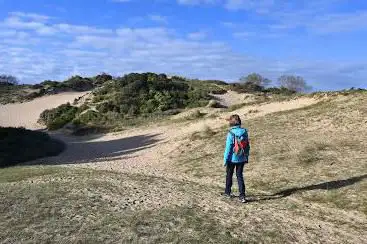 Duinen van Ter Yde