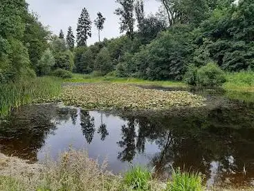 Silbertorsee