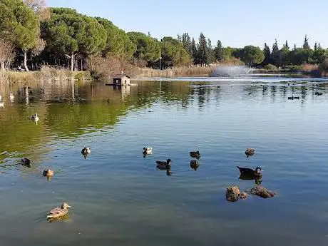 Photo de Parque Infanta Elena