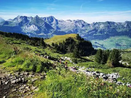 Geologischer Rundweg Gamsalp