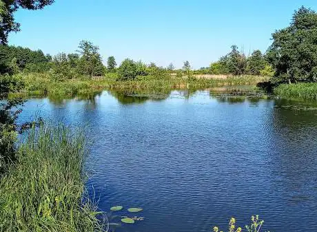 Photo de Higginson Park Marlow