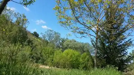 Photo de Peromelo