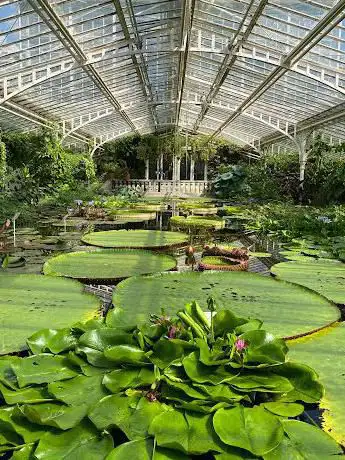 Photo de Jardin botanique de Munich
