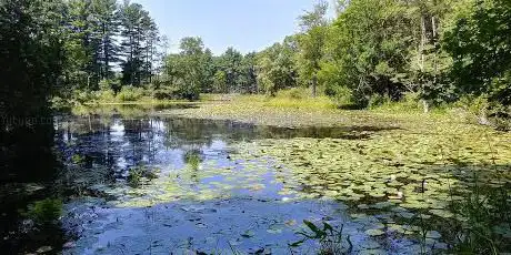 Mass Audubon's Ipswich River Wildlife Sanctuary