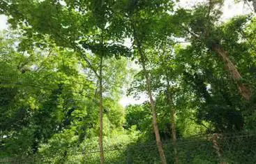 Jardin Sauvage Saint Vincent