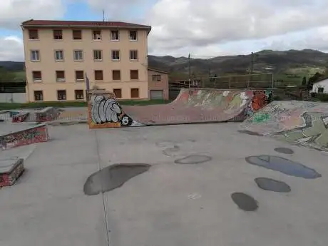 Photo de Skate Gunea